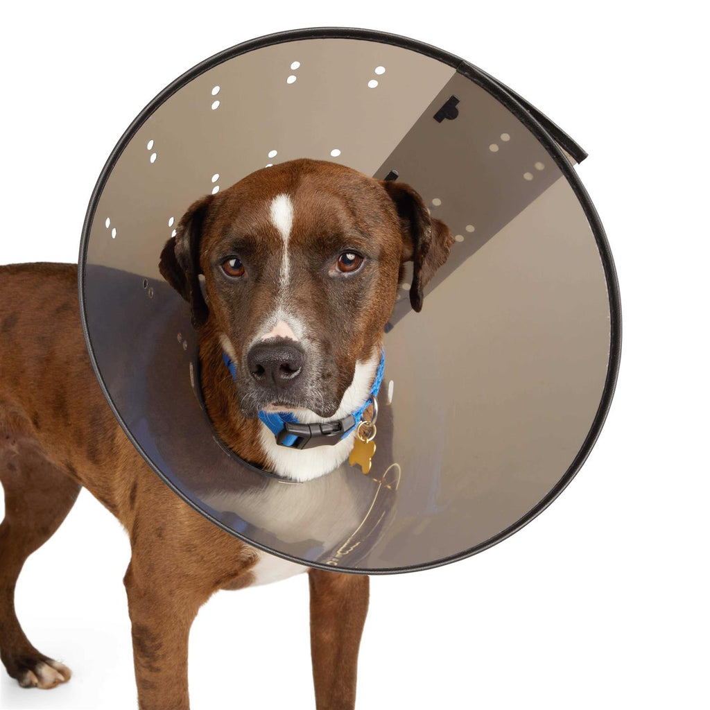 Recovery Cone Collar J614807
