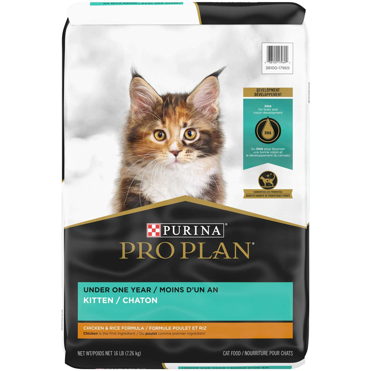 Kitten Dry Food G653485