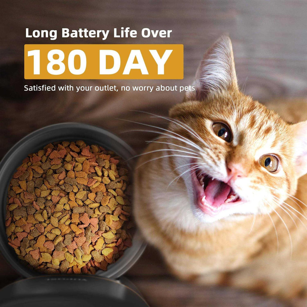 Automatic Cat Feeder 8cup 68oz Cat Food Dispenser M8609