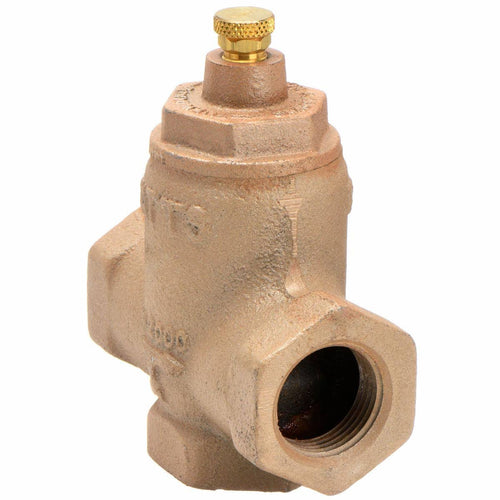1 1/4 In FNPT Cast Iron Flow Check Valve Z659768