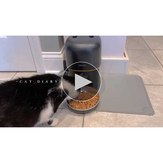 Automatic Cat Feeder 8cup 68oz Cat Food Dispenser M8609