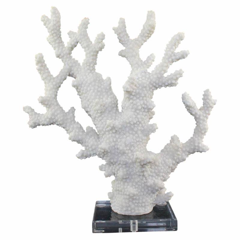 White Coral on Acrylic Base V42369