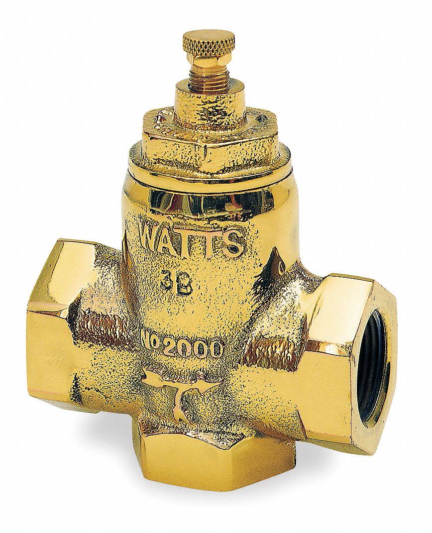 1 1/4 In FNPT Cast Iron Flow Check Valve Z659768