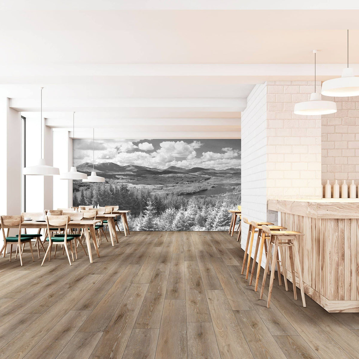 SPC Vinyl Flooring E5924