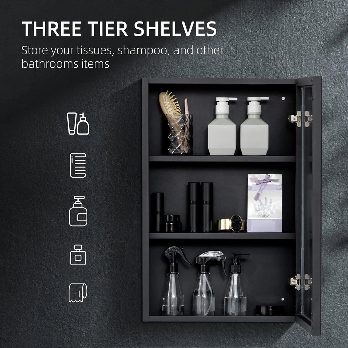 Black Wall-Mounted Stainless Steel Medicine Cabinet with Mirror R284