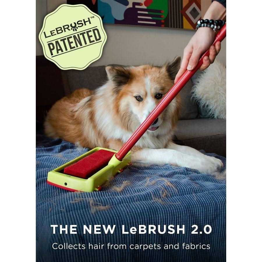 Pet Hair Remover for Carpet G560