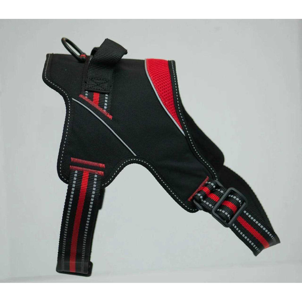 Patented Hart Harness D95065