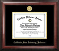 Gold Embossed Diploma Frame V137