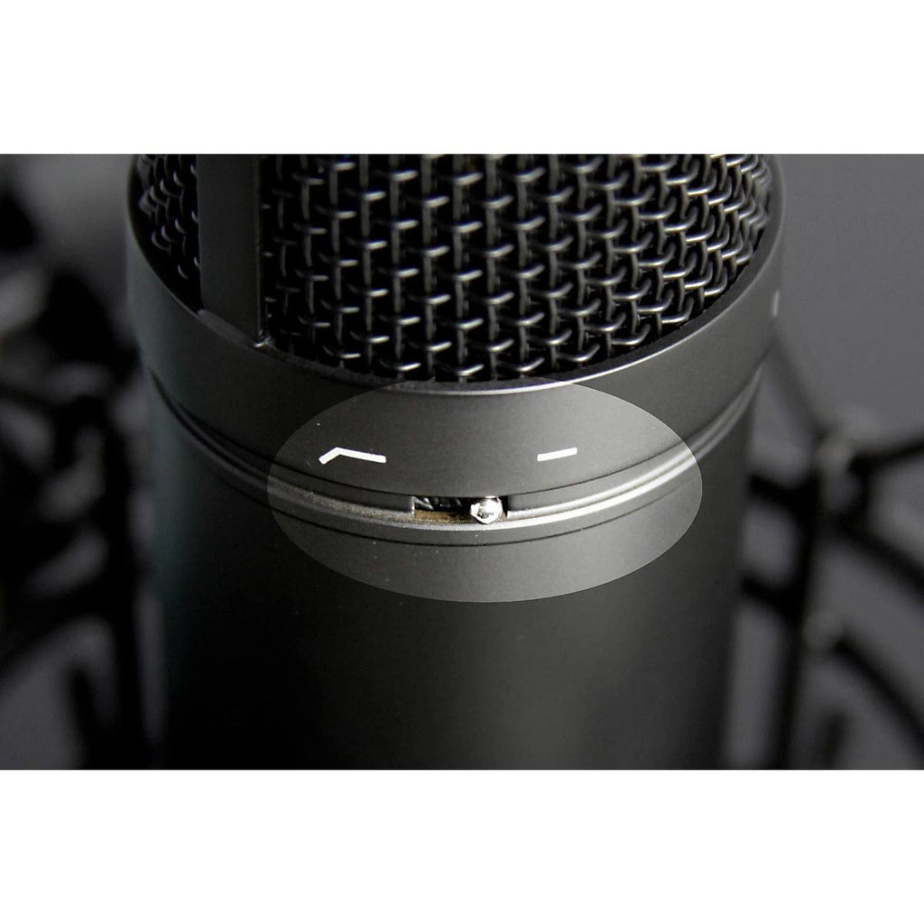 Studio Condenser Microphone Q77301