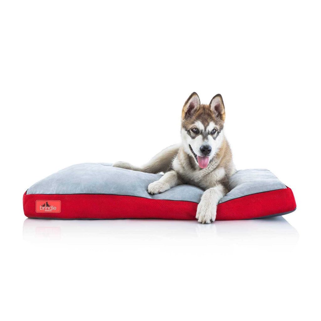 Soft Memory Foam Dog Bed with Removable Washable Cover E65047