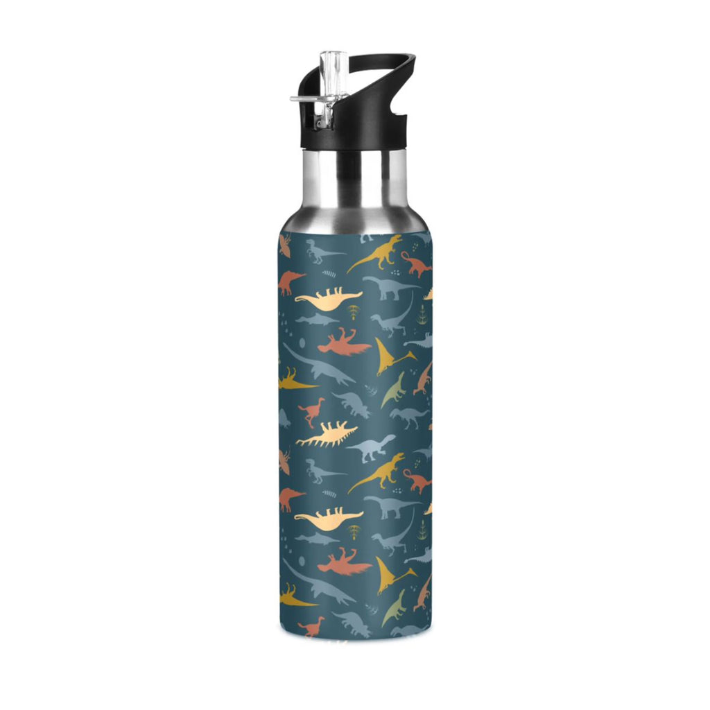 20 OZ Stainless Steel Water Bottle with Straw Lid Q822227