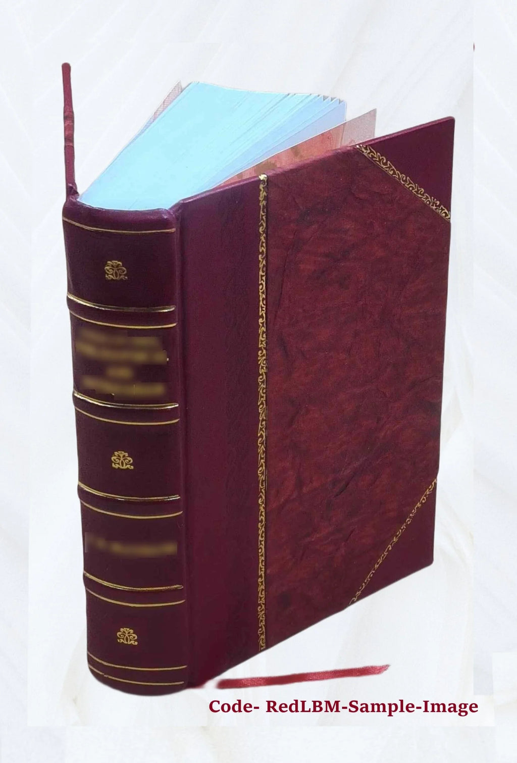 Leather Bound Book K887
