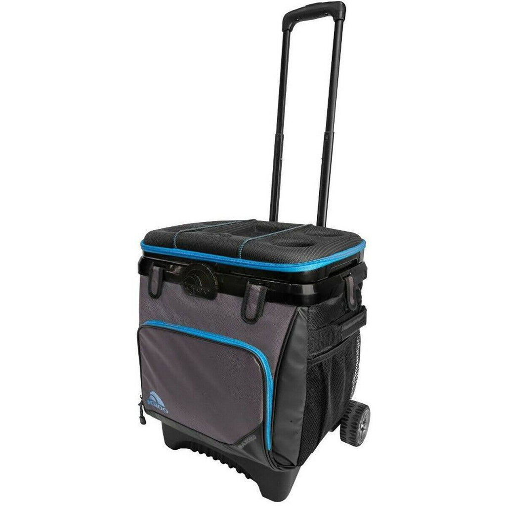 36-Can Soft Cooler Gray/Black Q562966