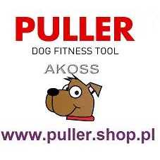Waterproof Dog Collar with QR passport X38774
