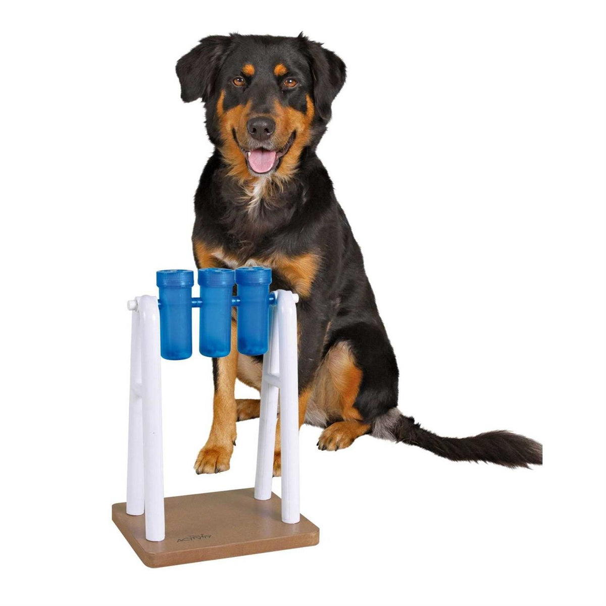 Activity Dog Toy Y667