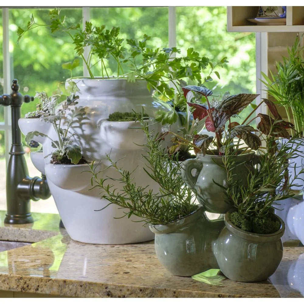 8 Pocket Ceramic Strawberry Planter in White C318914