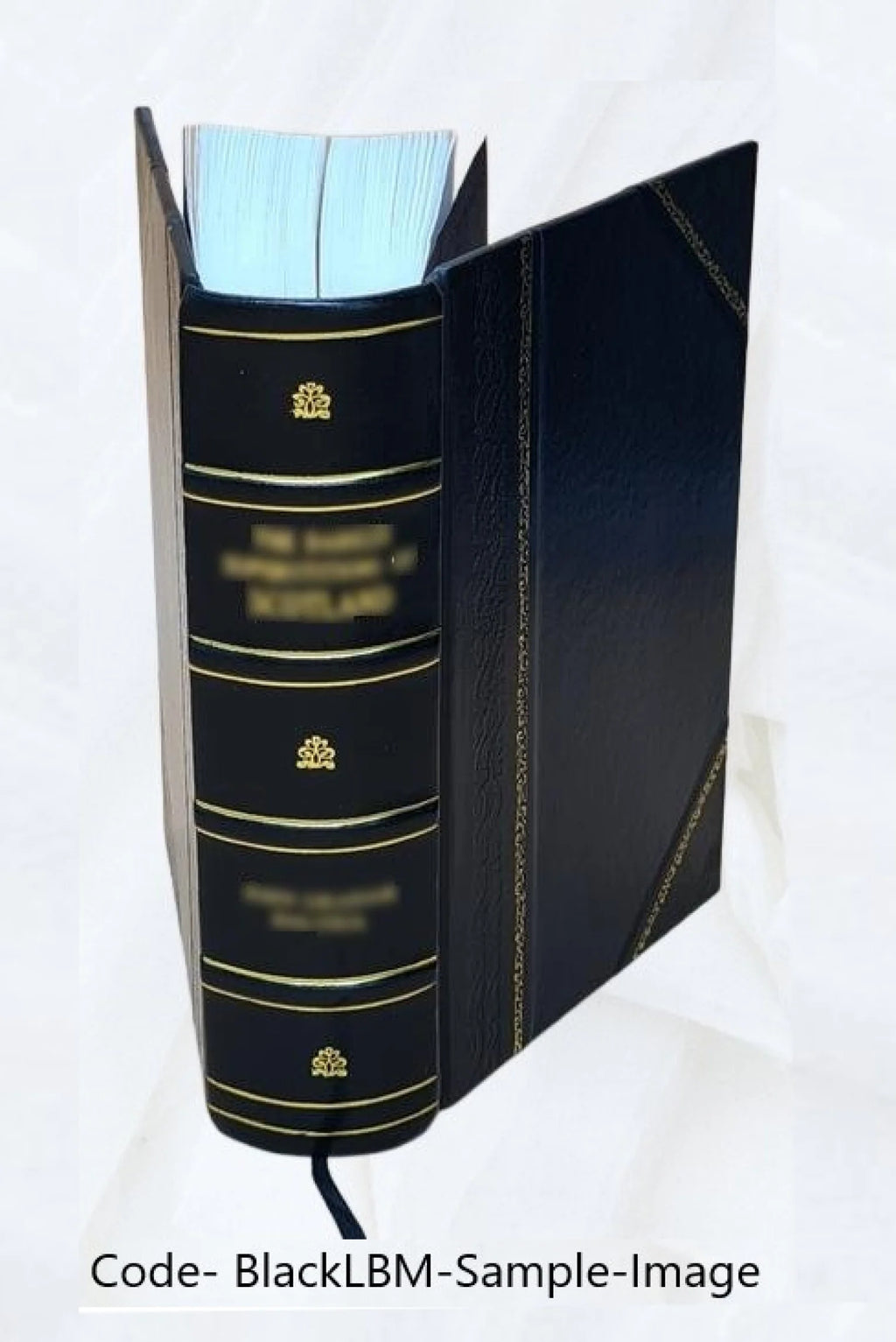 Leather Bound Book K887