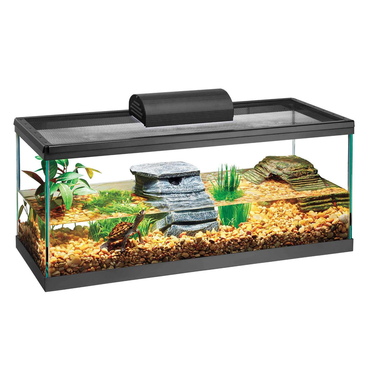 Aquarium Tank K784
