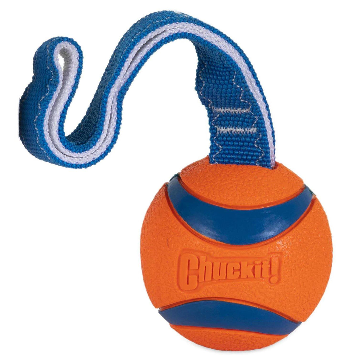 Dog Toy J794983