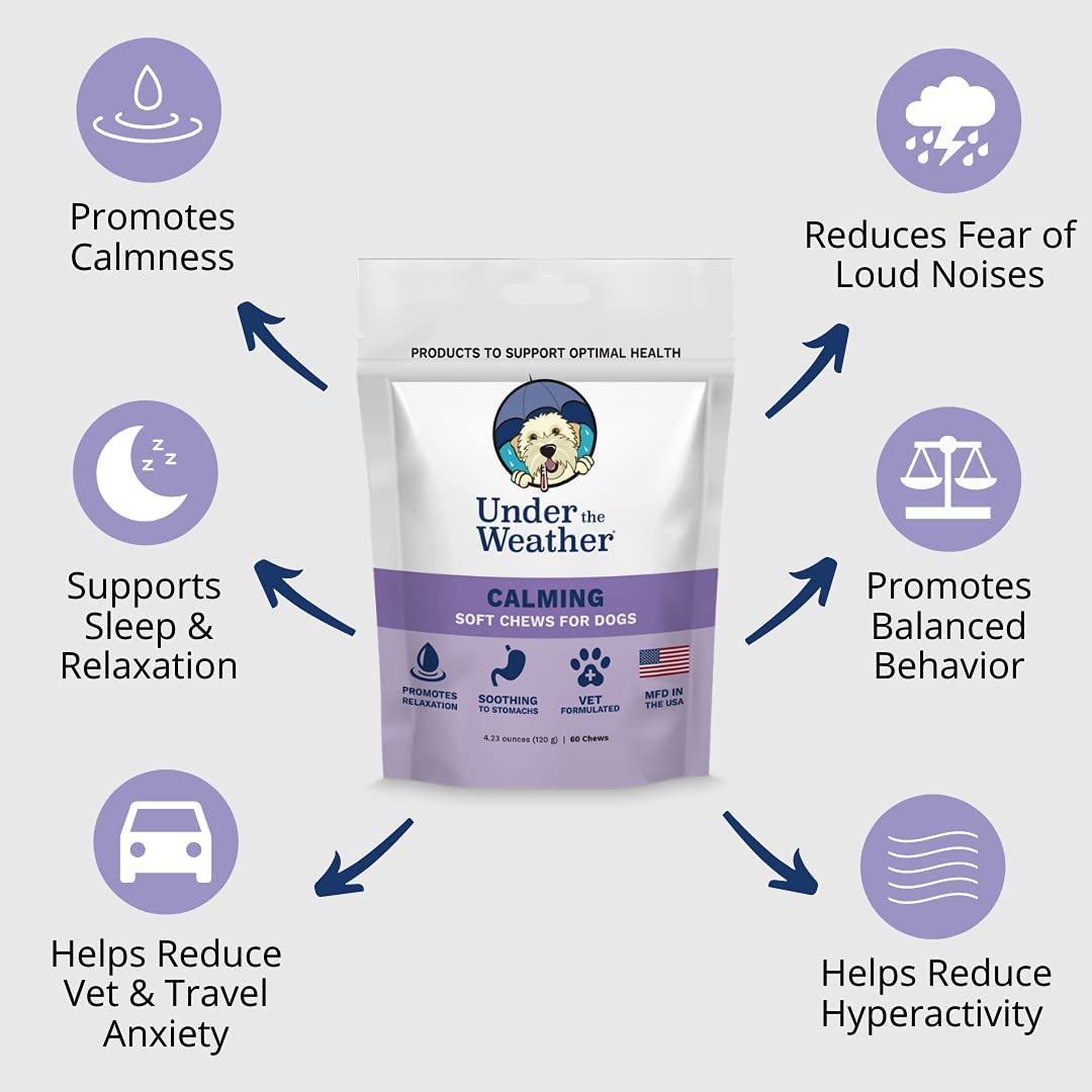 Calming Soft Chews for Dogs (60 Count Pack) K614516