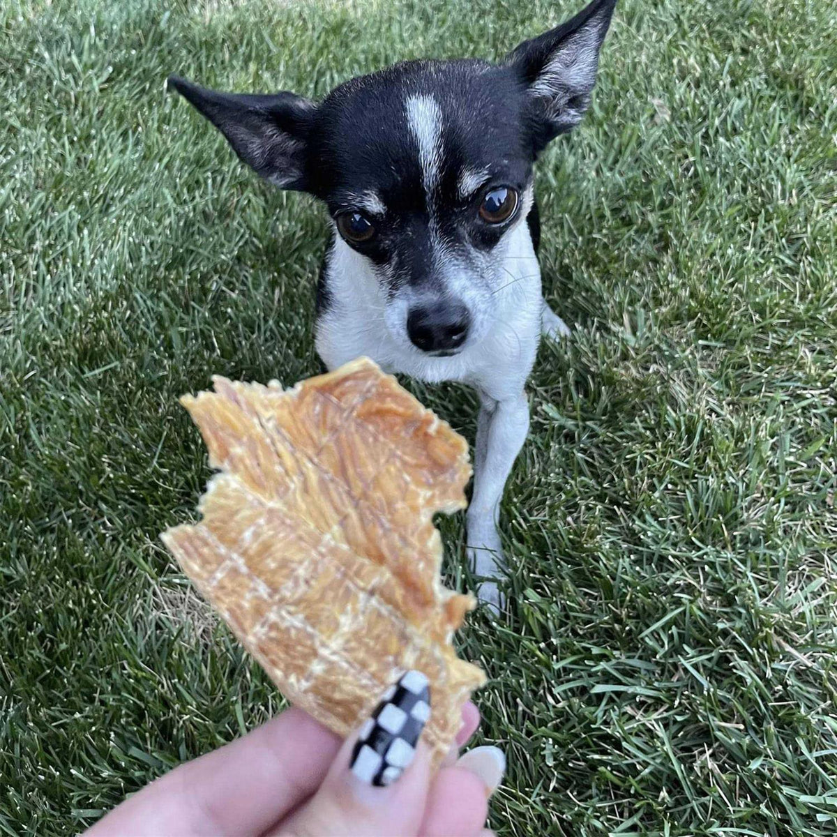 Jerky Dog Treats Q39181
