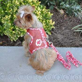Cool Mesh Dog Harness with Leash P93668