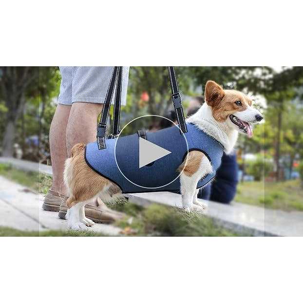 Dog Lift Harness Support Sling Vest Adjustable Breathable G6446