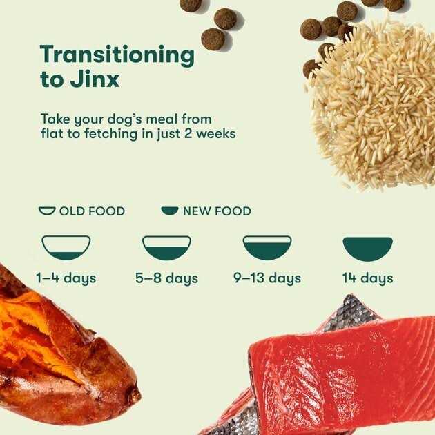 Salmon Brown Rice & Sweet Potato Dry Dog Food D1248