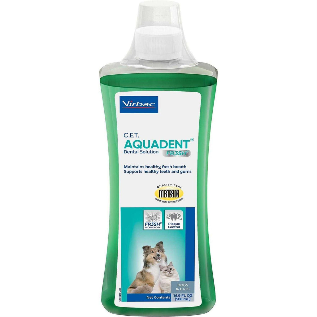 Dental Solution Q7561