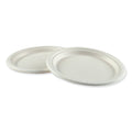 White 9 Diameter Bagasse Molded Fiber Plate W652