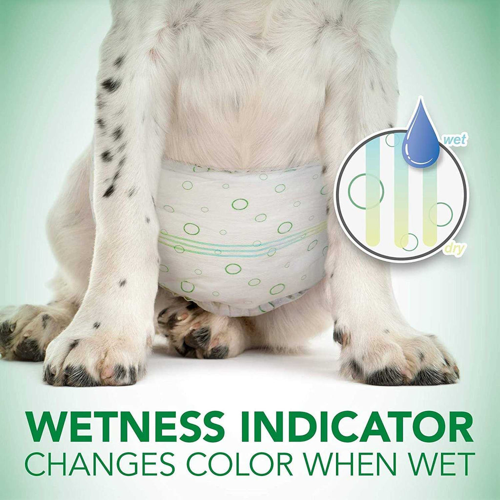 Disposable Male Dog Wraps O824