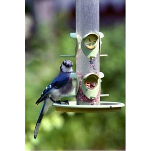 Wild Bird Food X4751
