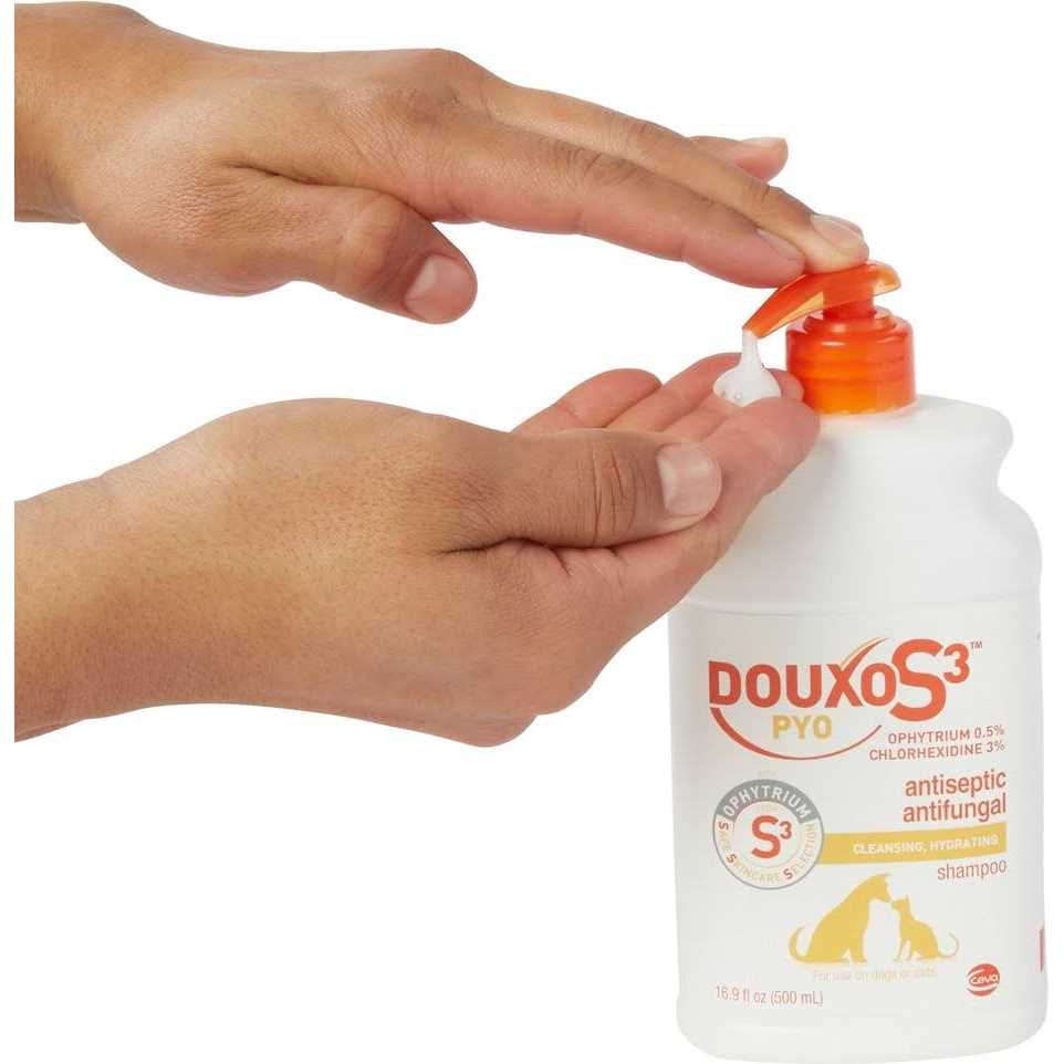 Shampoo 16.9 oz C59553
