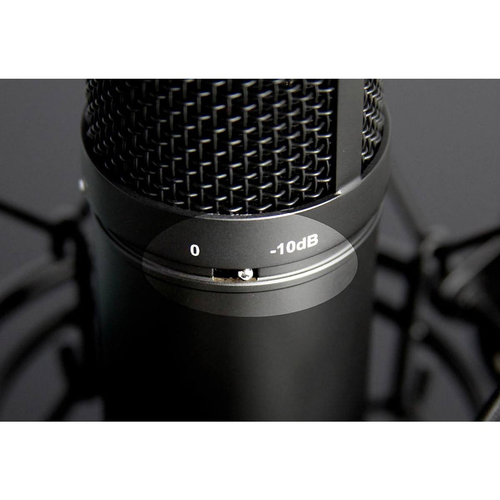 Studio Condenser Microphone Q77301