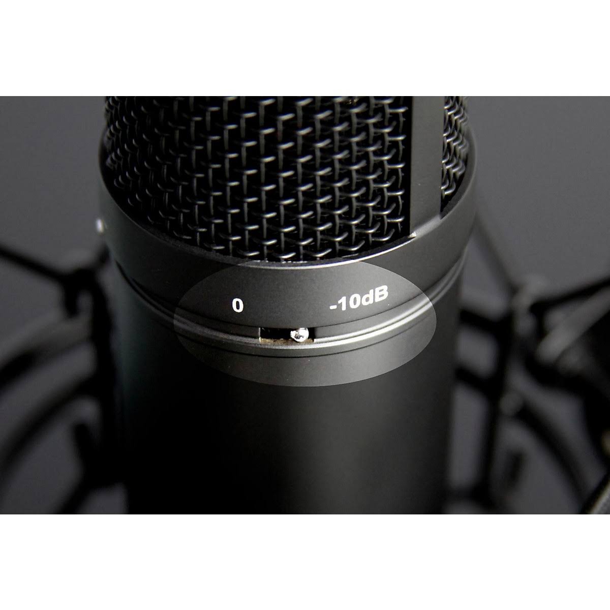 Studio Condenser Microphone Q77301