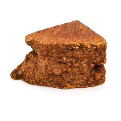Wood Dog Chew E384248