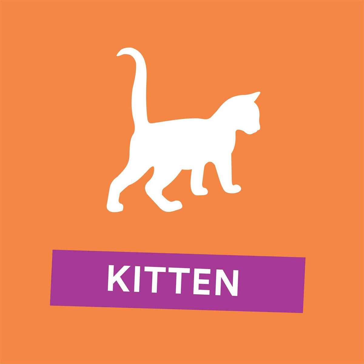 Grain Free Chicken Recipe Dry Kitten Food L192