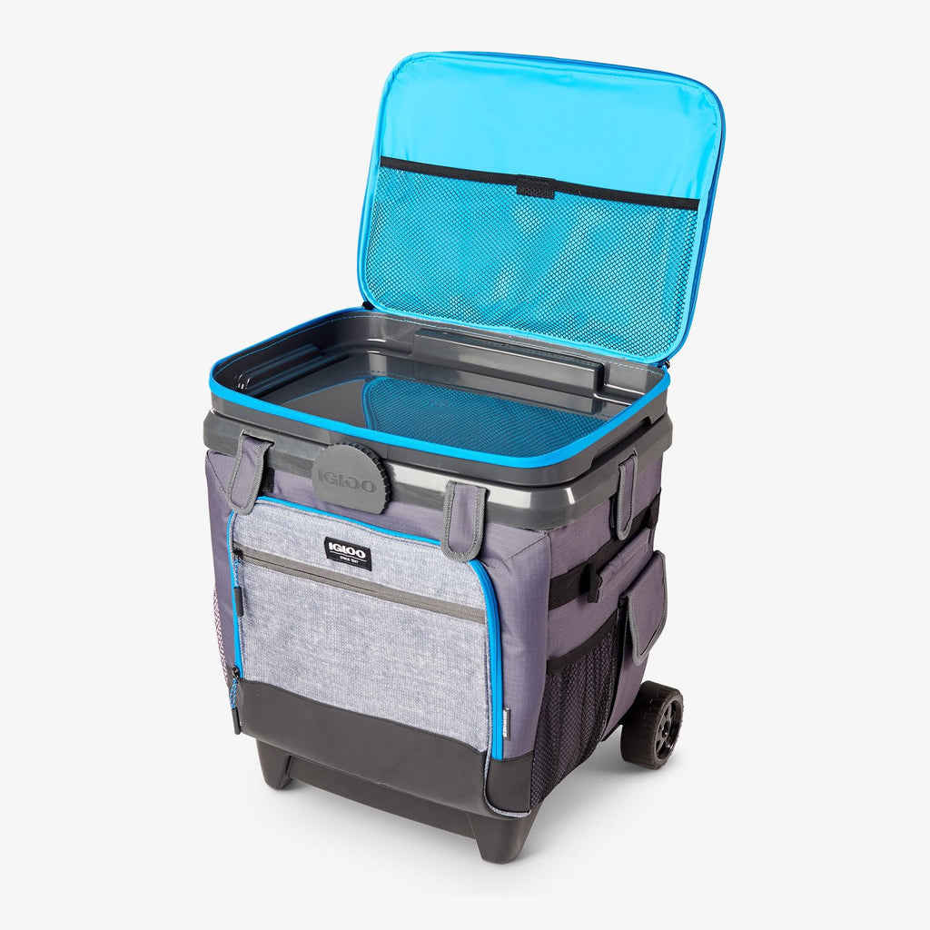 36-Can Soft Cooler Gray/Black Q562966