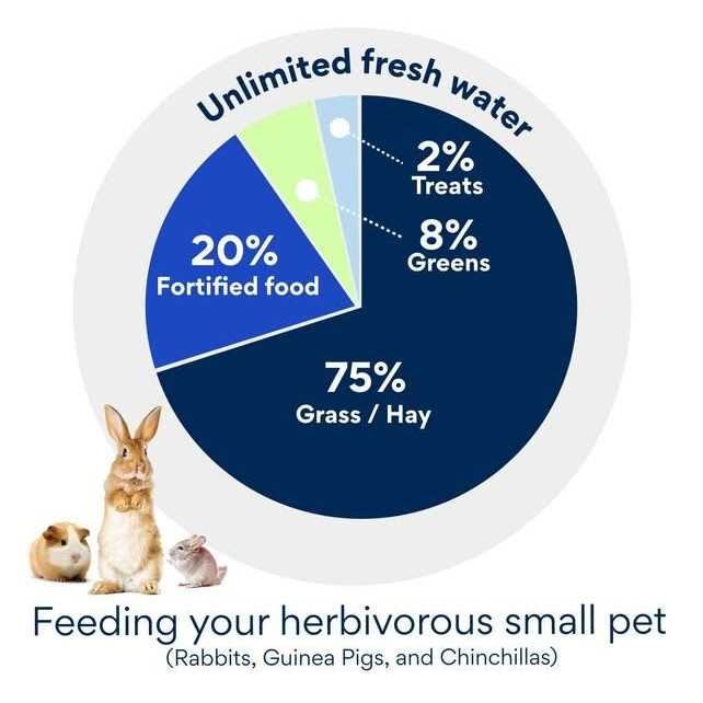 Gourmet Foraging Feast Pet Rabbit Food V45387